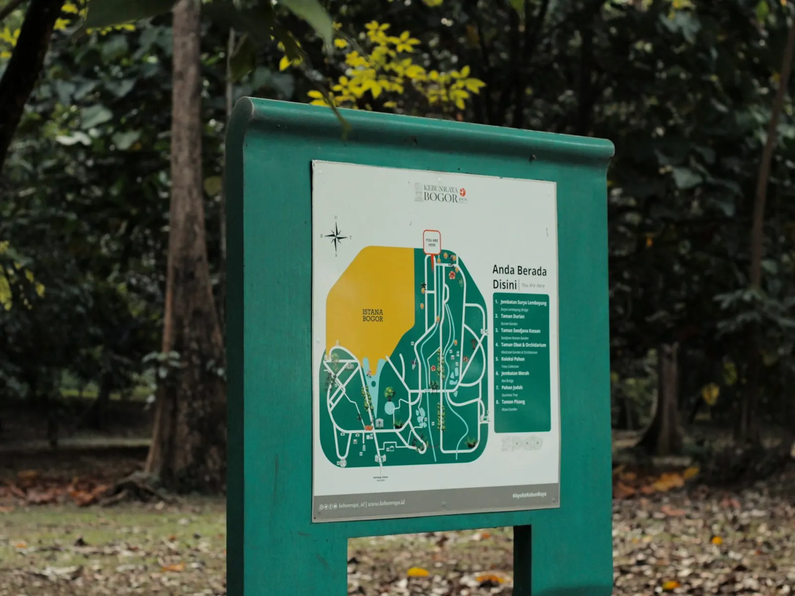 Green freestanding campus map board showing site layout beside a tree-lined path