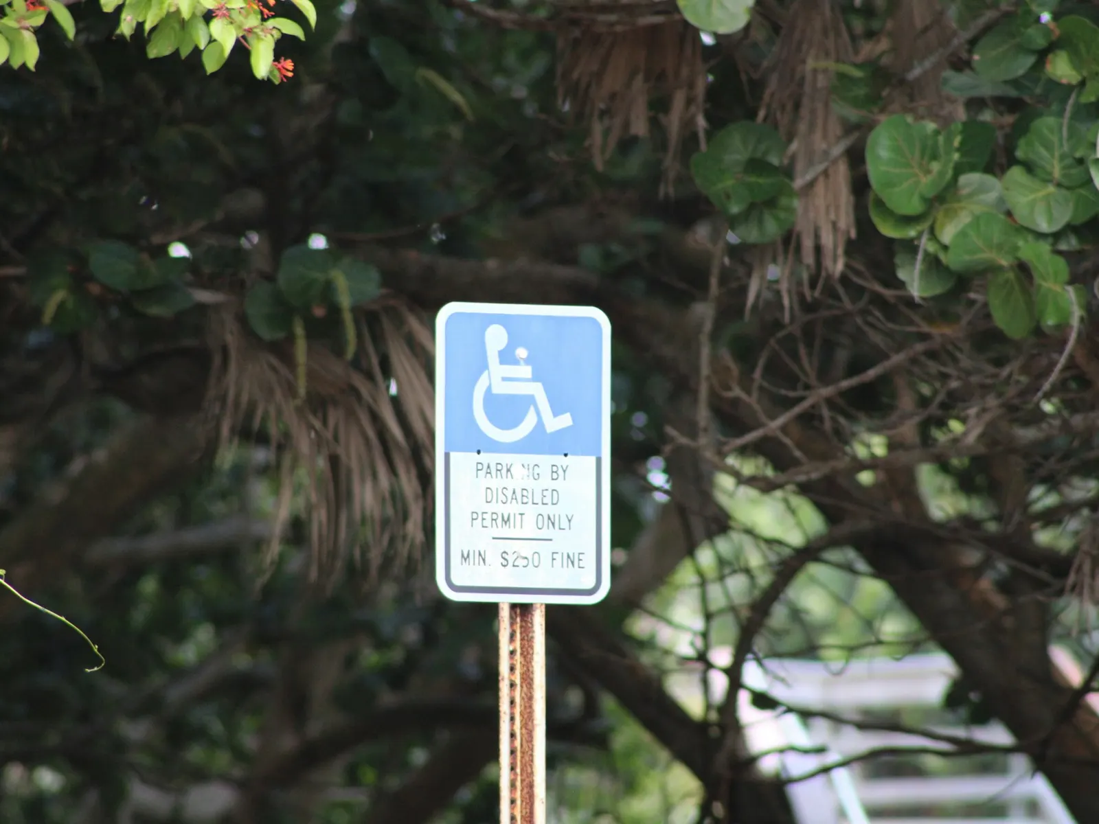 Blue accessible disabled parking sign with wheelchair symbol mounted on a post
