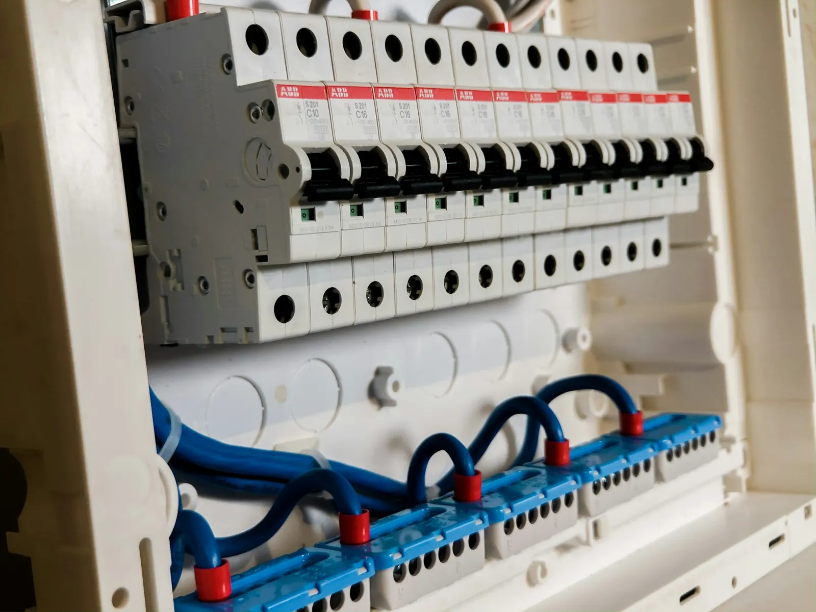 Row of circuit breakers inside an open electrical distribution board with blue neutral terminals