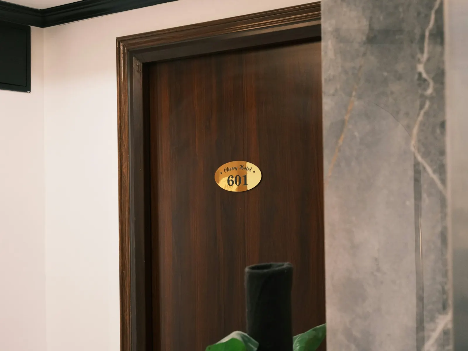 Gold oval hotel room number sign on a dark wood door in a corridor